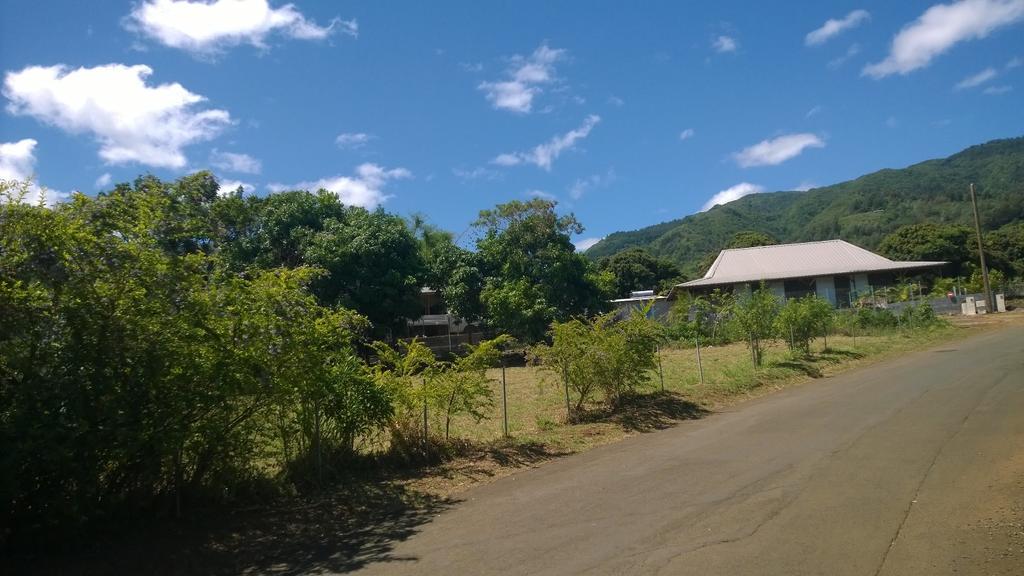 Les Bungalows Du Mont-Auban Sainte-Clotilde المظهر الخارجي الصورة
