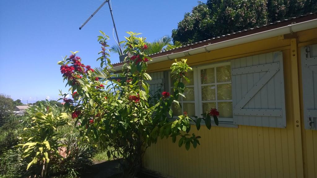Les Bungalows Du Mont-Auban Sainte-Clotilde المظهر الخارجي الصورة