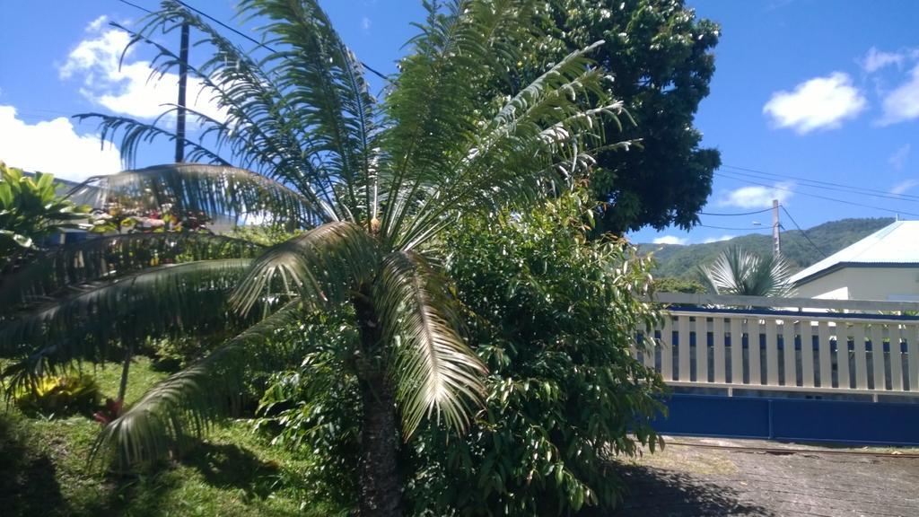 Les Bungalows Du Mont-Auban Sainte-Clotilde المظهر الخارجي الصورة