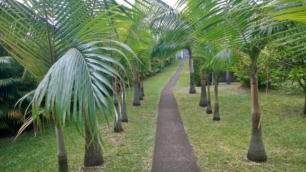 Les Bungalows Du Mont-Auban Sainte-Clotilde المظهر الخارجي الصورة